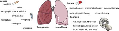 Current treatments for non-small cell lung cancer